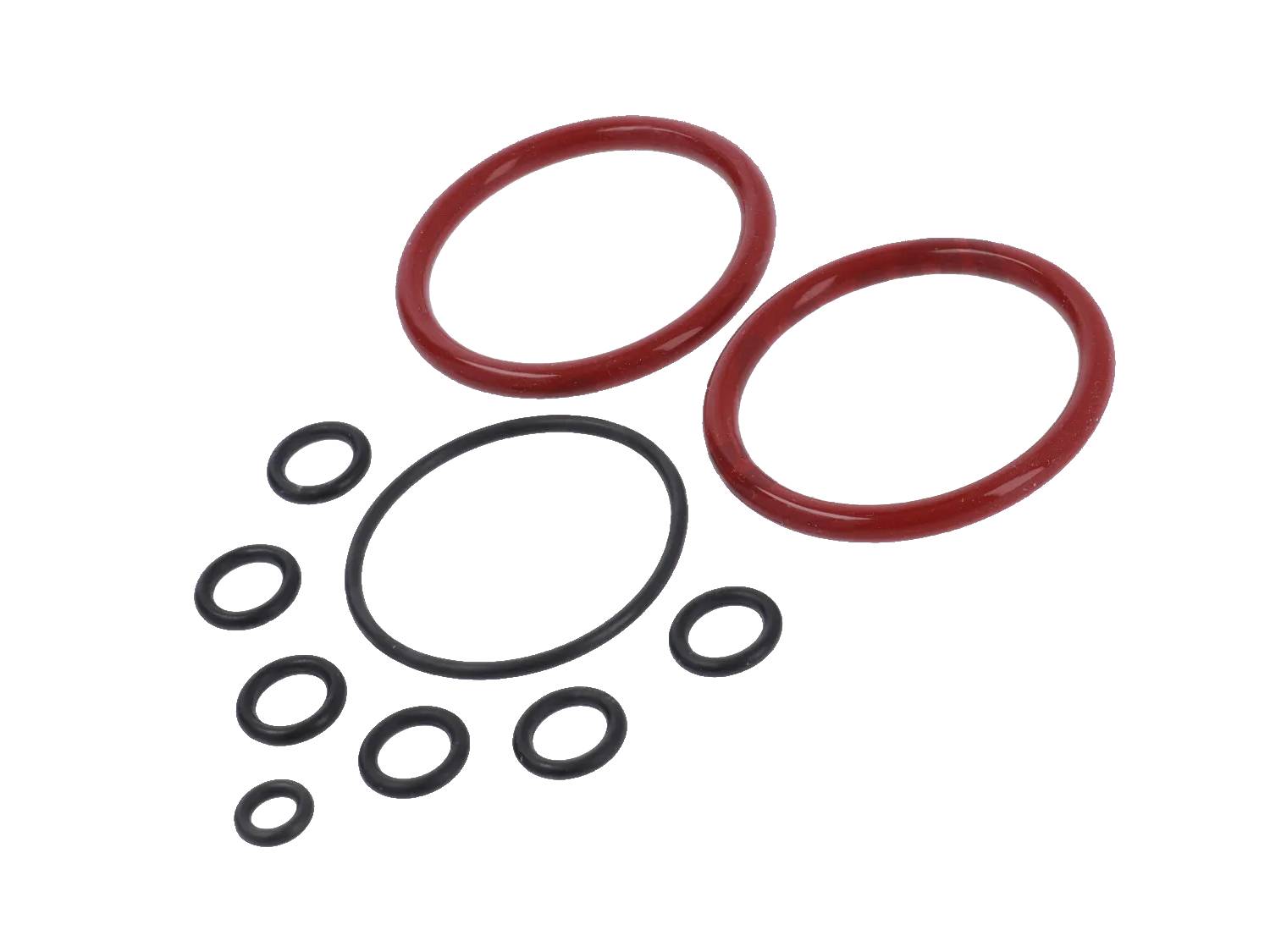 RNG3301 - Kit10 cope O-Ring per kapucinator elegant